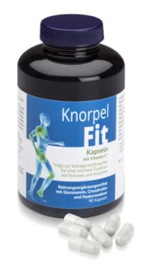 190717_Knorpel_Fit_02_low-e1563436538592 190717_Knorpel_Fit_02_low-e1563436538592